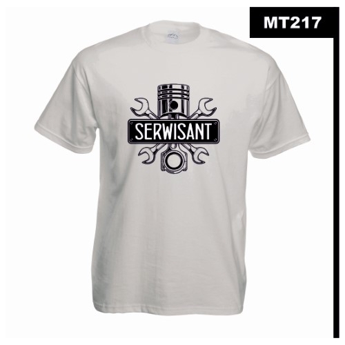 Serwisant MT217